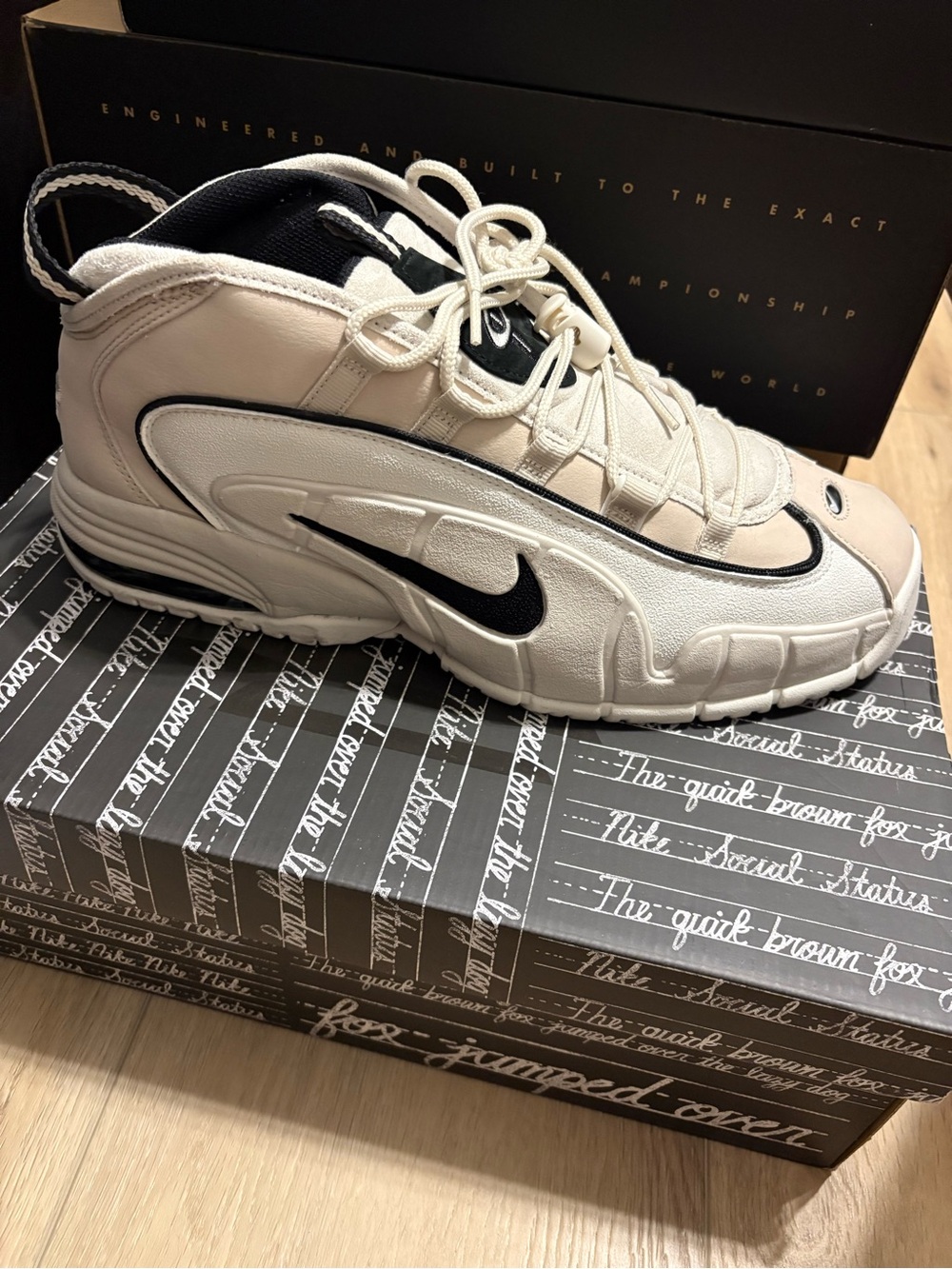 Nike Penny 1 Social Status size 13